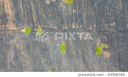 Aerial view over burning rice field after Aerial view over burning rice field after 64996360
