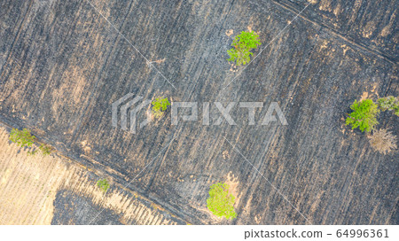 Aerial view over burning rice field after 64996361