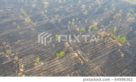 Aerial view over burning rice field after Aerial view over burning rice field after 64996362