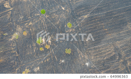 Aerial view over burning rice field after Aerial view over burning rice field after 64996363