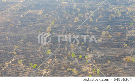 Aerial view over burning rice field after Aerial view over burning rice field after 64996364