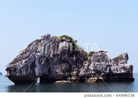 Halong Bay Cruise Fish Rock (Vietnam) Halong Bay Cruise Fish Rock (Vietnam) 64996536