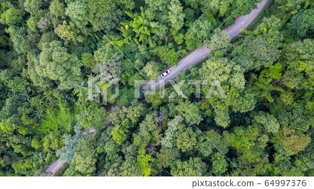Aerial top view car driving through the forest on 64997376
