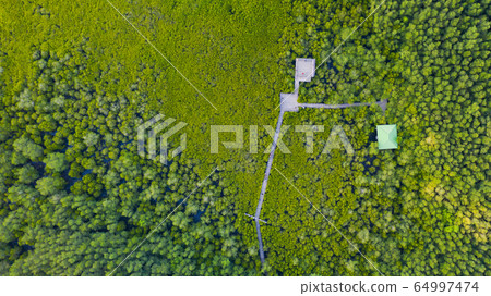 Aerial top view of Mangrove wooden bridge with 64997474
