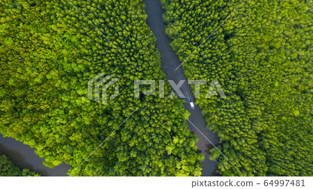 Aerial top view of Boat on the river in Mangrove Aerial top view of Boat on the river in Mangrove 64997481