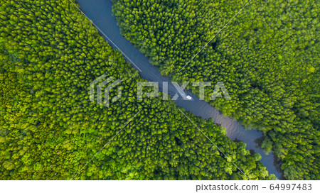Aerial top view of Boat on the river in Mangrove Aerial top view of Boat on the river in Mangrove 64997483