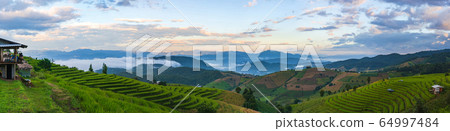 Panoramic landscape view of the mountain and rice 64997484