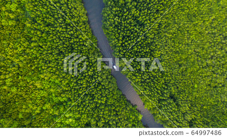 Aerial top view of Boat on the river in Mangrove Aerial top view of Boat on the river in Mangrove 64997486