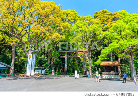 東京明治神宮Ichi no Torii 東京明治神宮Ichi no Torii 64997892