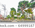 紗za山公園 64999187