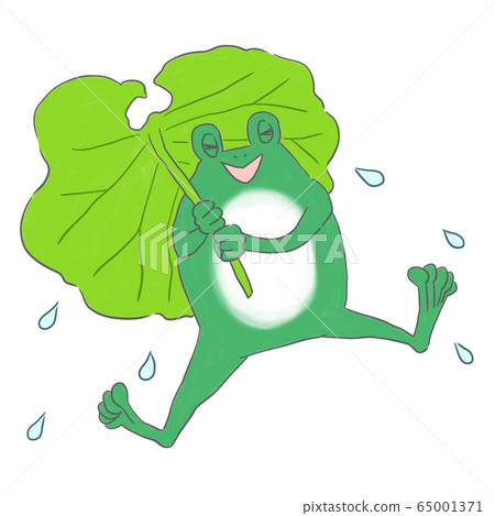 蓬鬆的雨傘和青蛙 蓬鬆的雨傘和青蛙 65001371