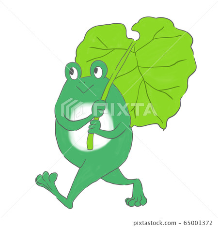 蓬鬆的雨傘和青蛙 蓬鬆的雨傘和青蛙 65001372