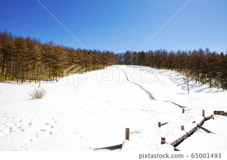 [Nagano Prefecture] Early spring Irukasa Wetland 65001493