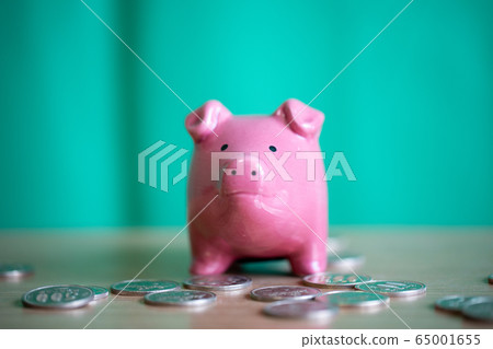 Pig piggy bank Pig piggy bank 65001655