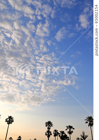 Cloud scale position 65002154