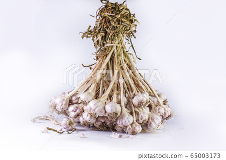 Photos of Thai garlic on white background. Photos of Thai garlic on white background. 65003173