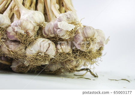 Photos of Thai garlic on white background. Photos of Thai garlic on white background. 65003177