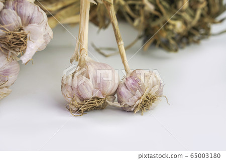 Photos of Thai garlic on white background. Photos of Thai garlic on white background. 65003180