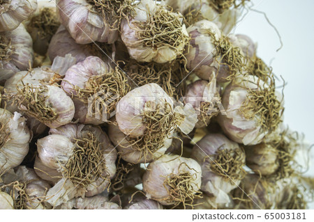 Photos of Thai garlic on white background. Photos of Thai garlic on white background. 65003181