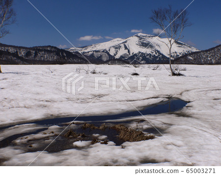 Snow Ozegahara和佛山 Snow Ozegahara和佛山 65003271
