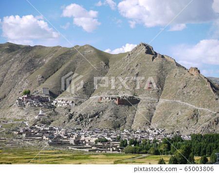 Tibetan Roca 65003806