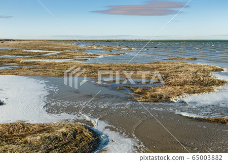 Lake Kamyslybas, Kazakhstan 65003882
