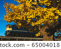 Ginkgo and freight 65004018