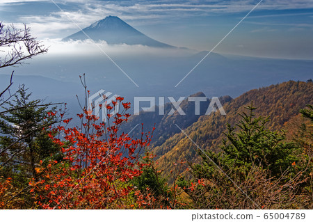 富士山和三坂山和小岳脊的秋葉 富士山和三坂山和小岳脊的秋葉 65004789