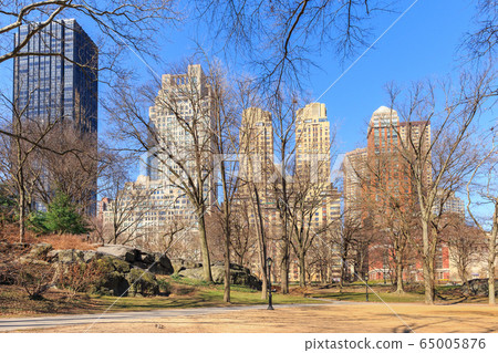 New York City buildings from Central park 65005876