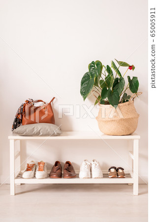 White shelves with sportive and casual footwear, brown leather bag and plant White shelves with sportive and casual footwear, brown leather bag and plant 65005911