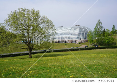 Public Park "Green Hills" in Tsuyama City: Glass House Public Park "Green Hills" in Tsuyama City: Glass House 65005953