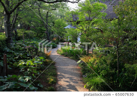 Botan花園 Botan花園 65007630