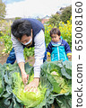 Parent-child parent-child infant working in the field 65008160