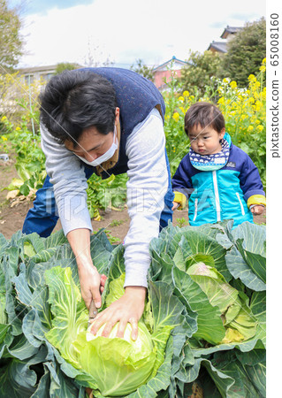 Parent-child parent-child infant working in the field Parent-child parent-child infant working in the field 65008160