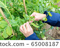 Hata work male 65008187