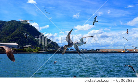 Sea and flying seagulls 65008682