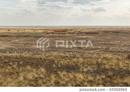 steppe in Kazakhstan 65008969