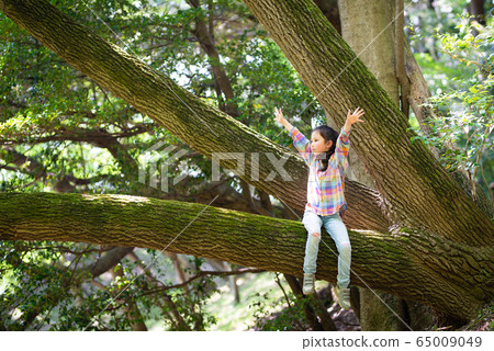 Girl climbing a tree and playing 65009049