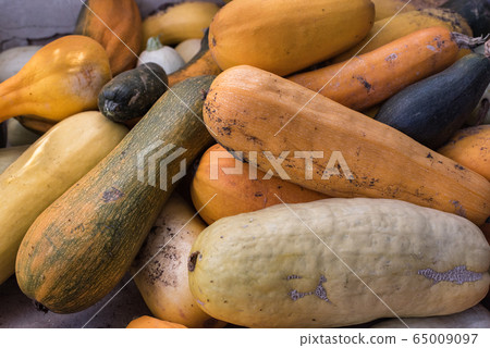 A lot of yellow zucchini. Ripe vegetables. A lot of yellow zucchini. Ripe vegetables. 65009097