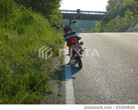 A wide area farm road as usual. Hunter cub A wide area farm road as usual. Hunter cub 65009689
