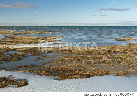 Lake Kamyslybas, Kazakhstan 65009877