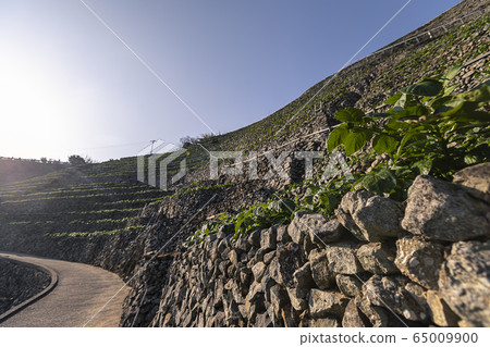 Yuuko Water loadpour的舞台場 65009900