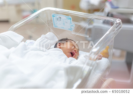 Newborn baby one day old Newborn baby one day old 65010052