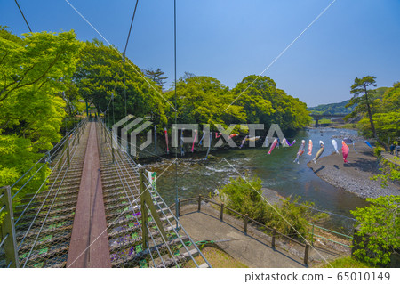 高龍瀑布Koinobori [靜岡縣] 65010149