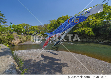 高龍瀑布Koinobori [靜岡縣] 65010150