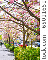 Sakurashinmachi 65011651