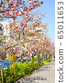 Sakurashinmachi 65011653