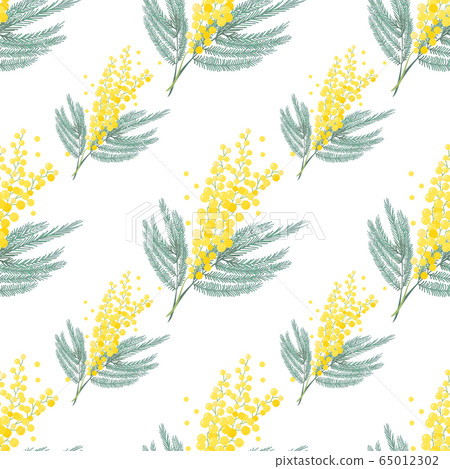 Seamless spring pattern with mimosa flower. Bright yellow flowers background. 65012302