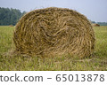 Coil hay on a green field against the cloudy sky 65013878