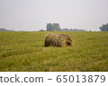Coil hay on a green field against the cloudy sky 65013879